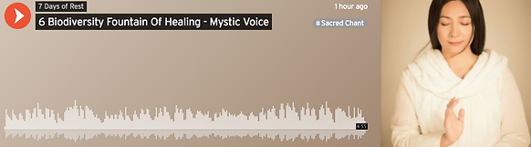 Screen Shot 2019-01-01 at 17.56.38.png