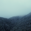 Screenshot 2025-03-23 at 11.51.24 AM.png