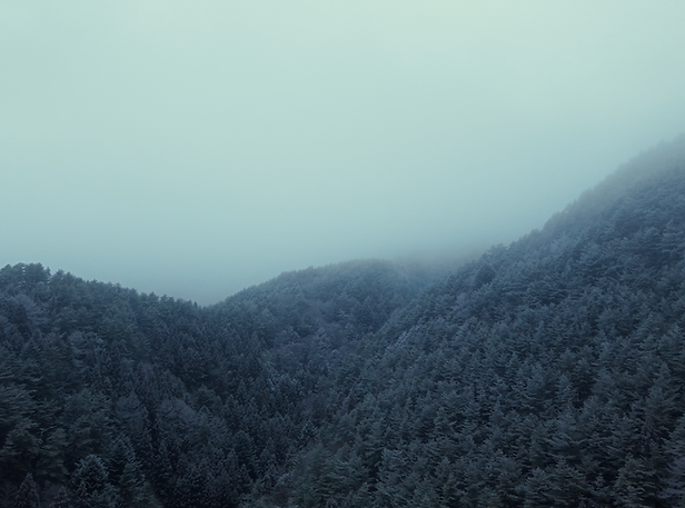 Screenshot 2025-12-18 at 1.38.27 PM.png