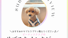 インタビュー『おすすめのサブスクプラン教えてください♪』〜りんくん編〜