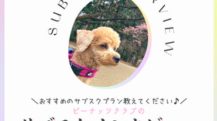 インタビュー『おすすめのサブスクプラン教えてください♪』〜植木さん編〜