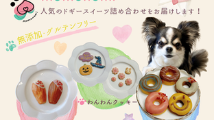 【ペット向けサブスク】無添加・グルテンフリー！人気のドギースイーツ詰め合わせ♡