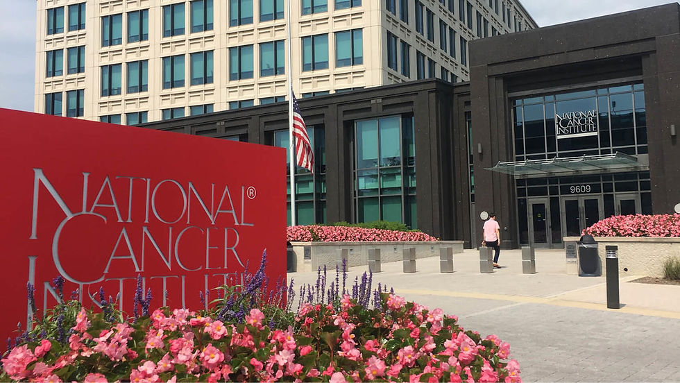 Red sign reads "National Cancer Institute" in front of a building with glass windows. An American flag is visible. Pink flowers surround.