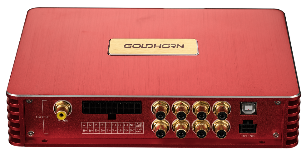 Thumbnail: Goldhorn P2 DSPA PRO Eight Channel w/DSP