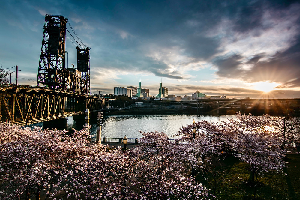 Portland Photo Tour