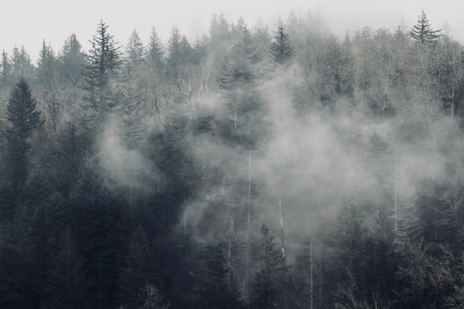 Columbia River Gorge Photo Tour