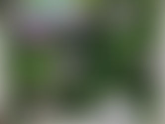 Why chose an Audio Guestbook for your celebration?