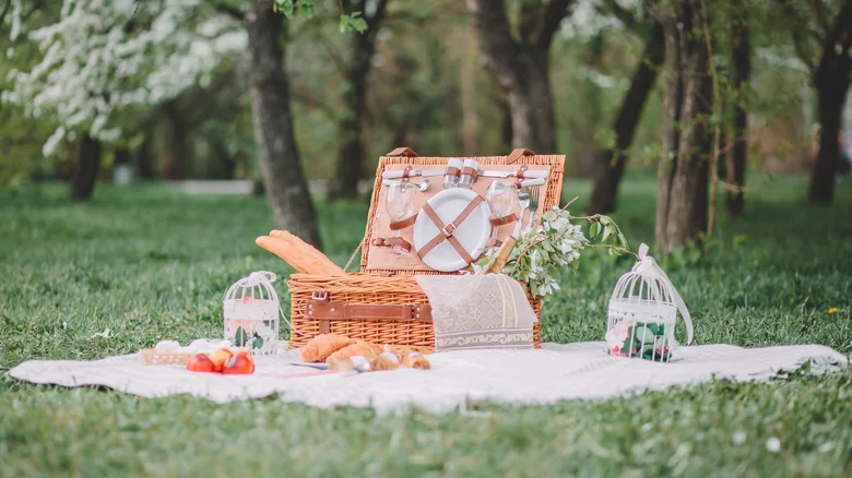 picnic brachelle.webp