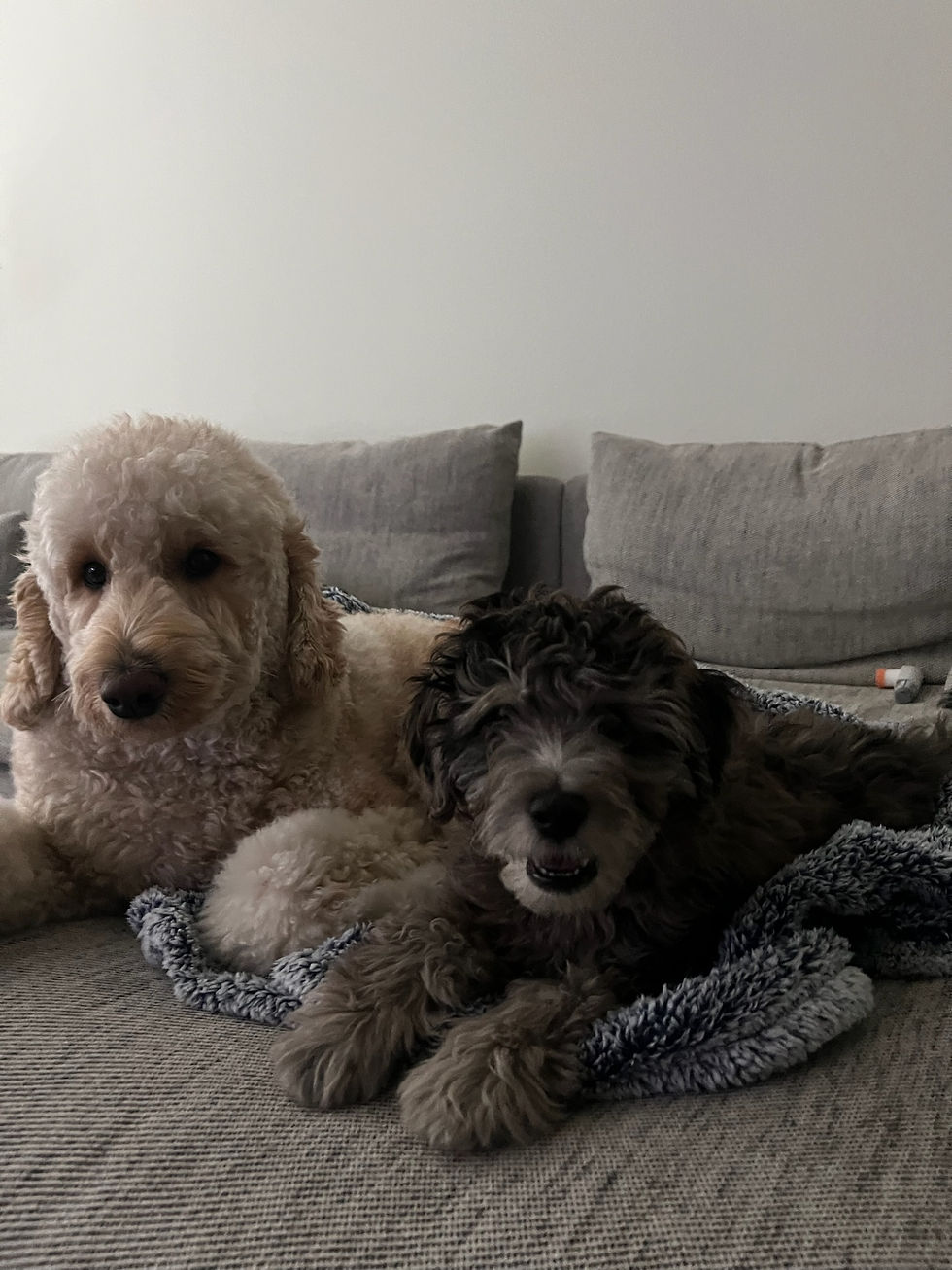 Whoopi and Luca