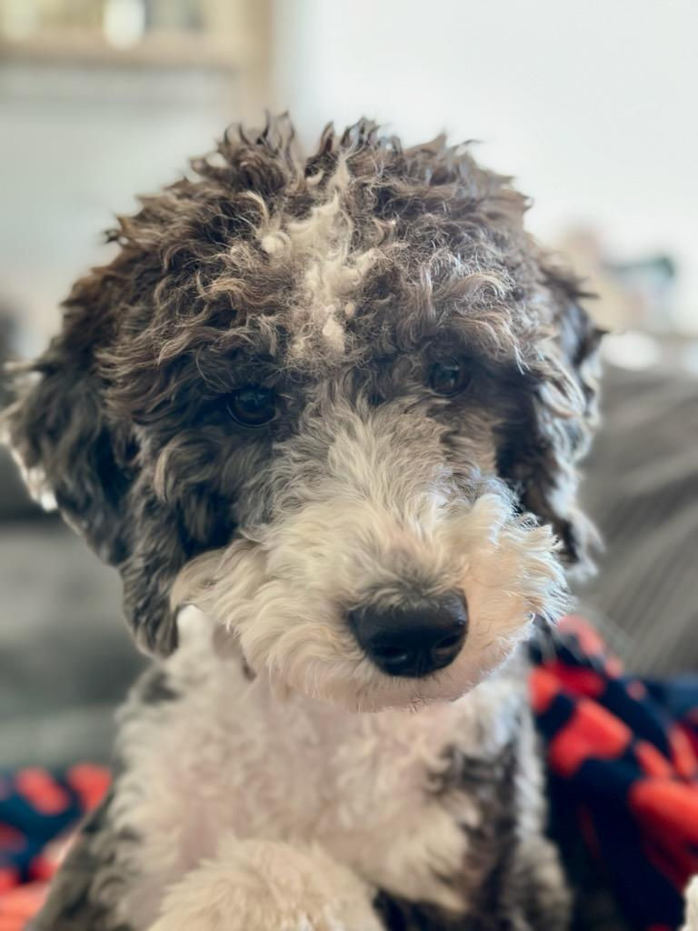 Winnie