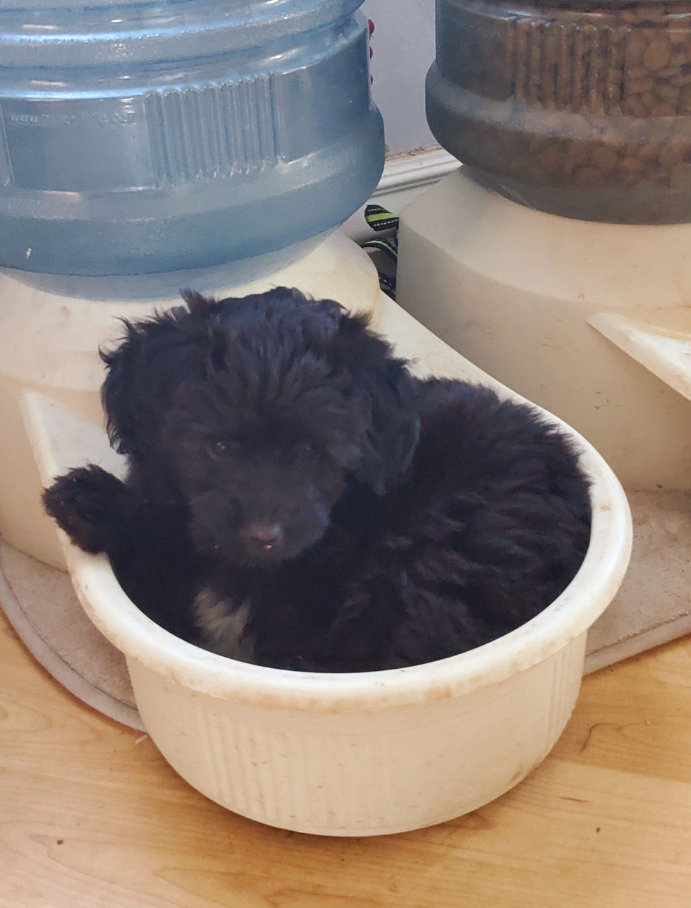 Luna