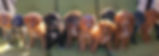 groupphotolotnewest.jpg