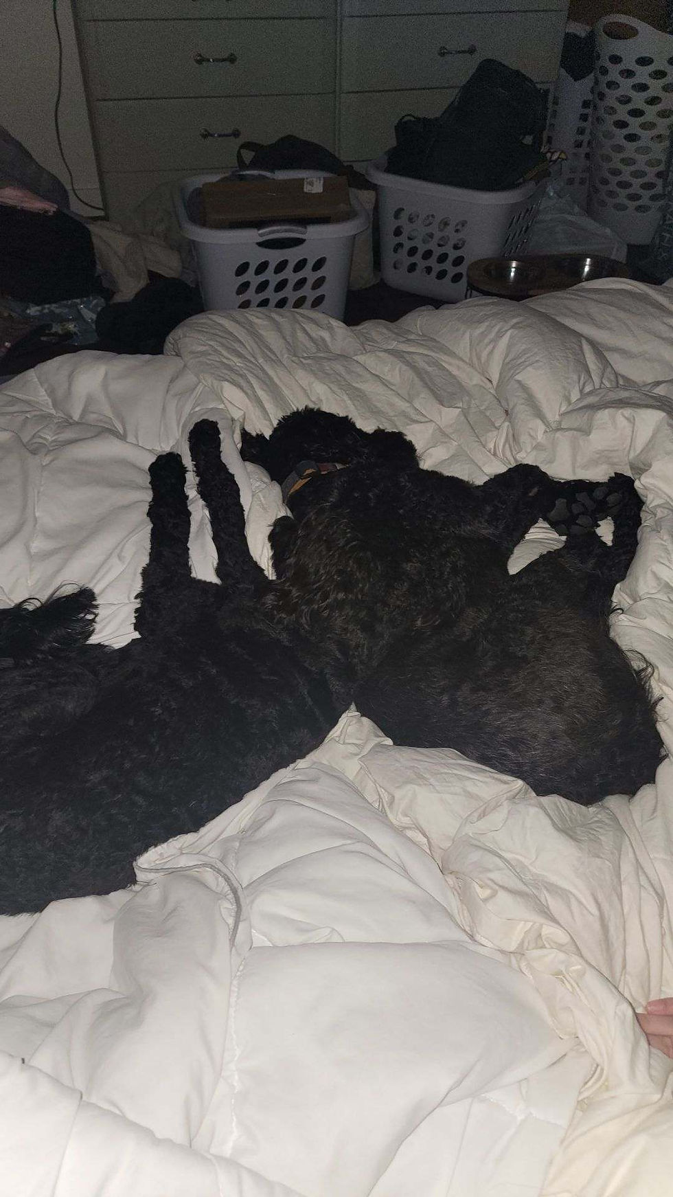 Athena and Nola