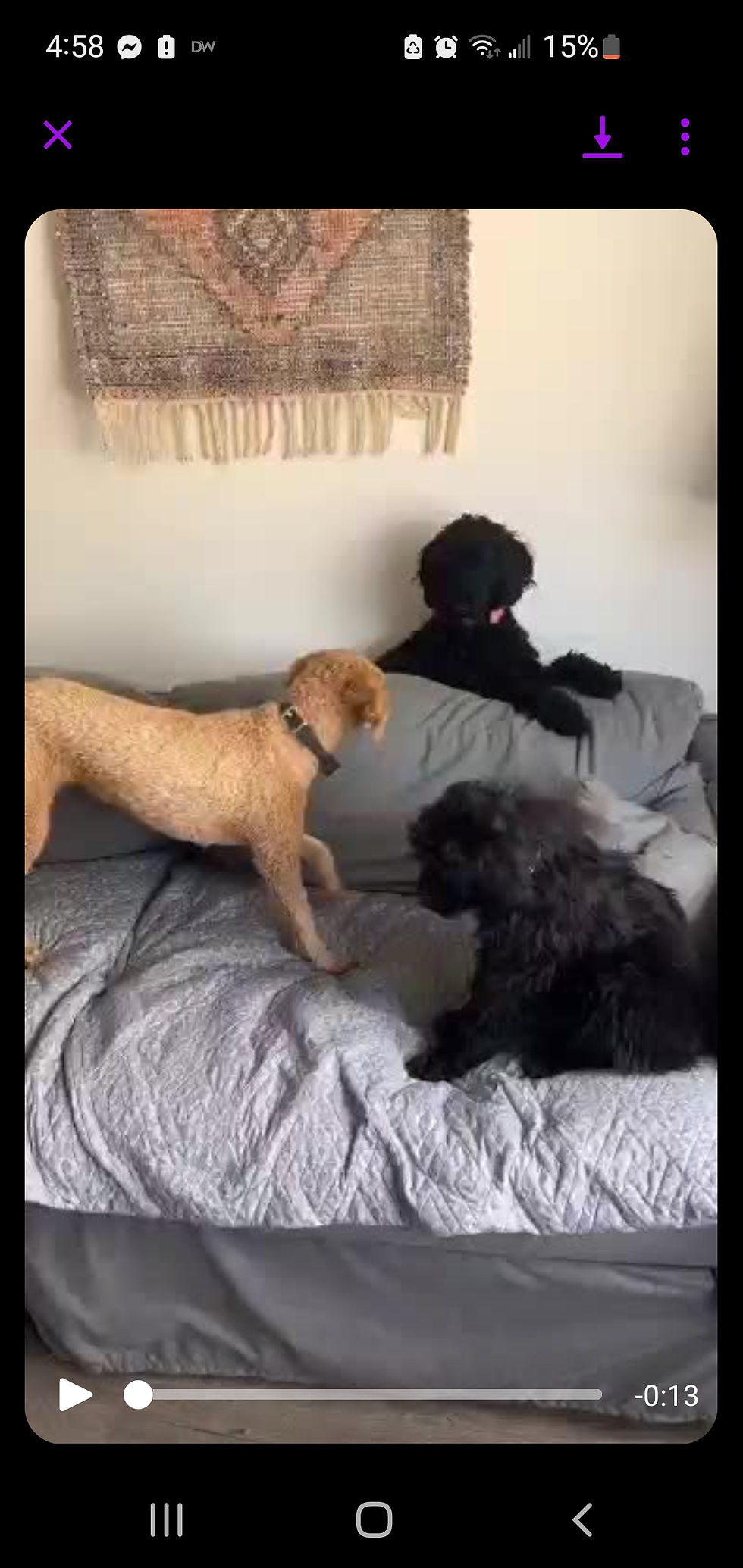 Athena with Nola and Veyda