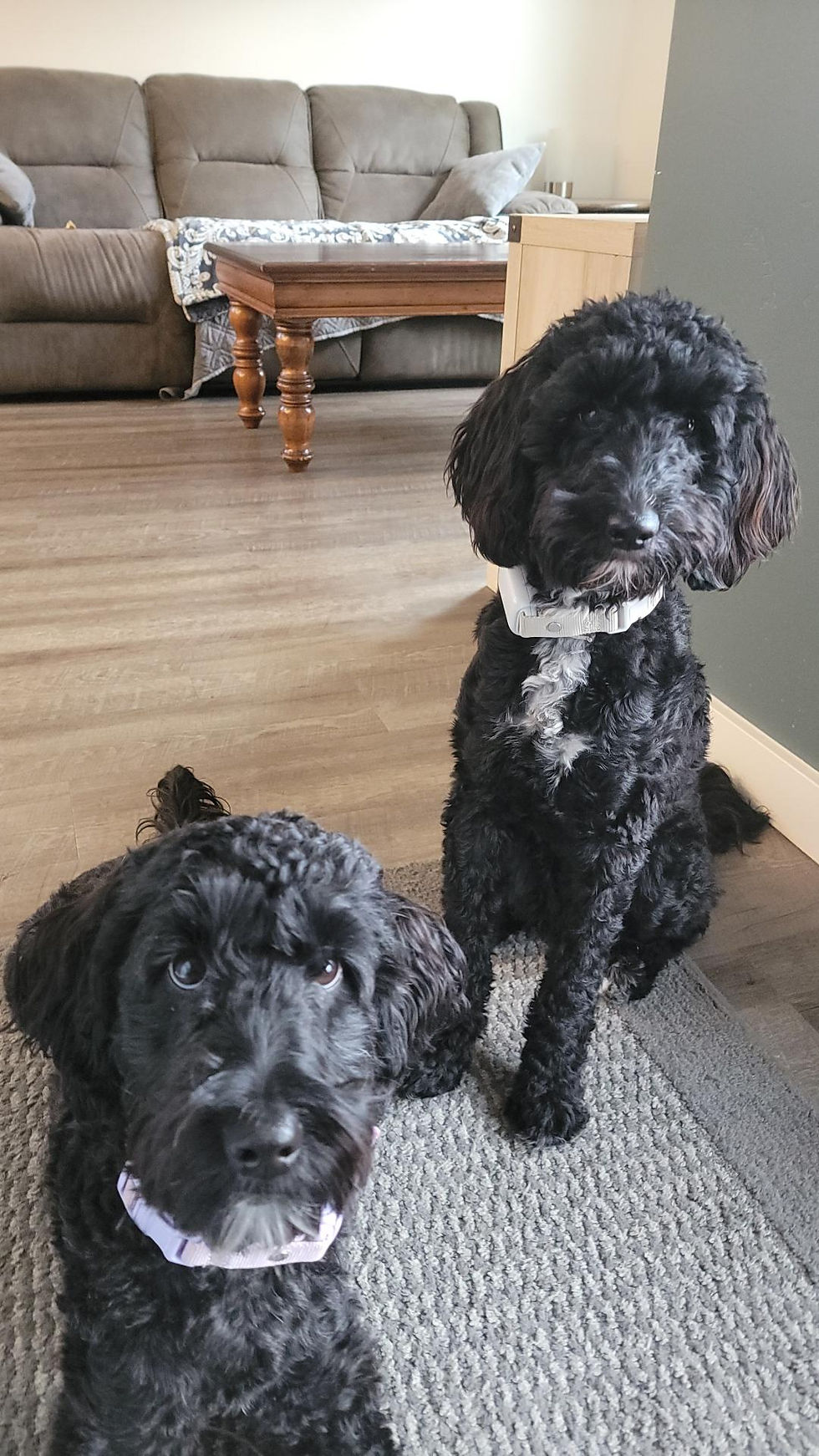 Athena and Nola
