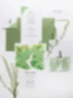 jasmine davetiye, düğün davetiyesi, nikah davetiyesi, nişan davetiyesi, size özel davetiye