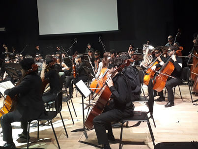 Sinfonía: el mundo de la Orquesta Javeriana