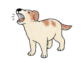 hondje blaft.jpg