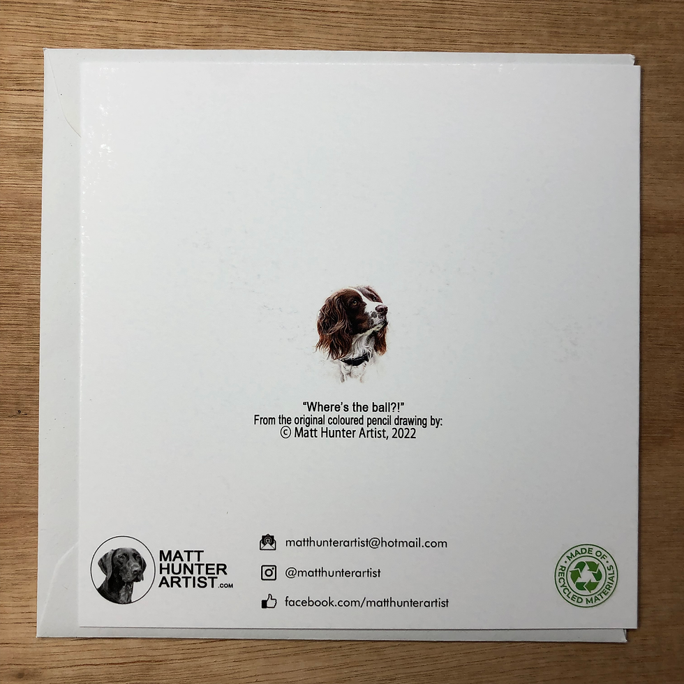 Thumbnail: Where's the ball? - Greetings Card