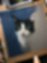 IMG_6011.jpeg