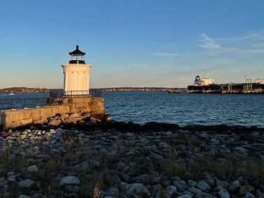 Bug Light-2.jpeg