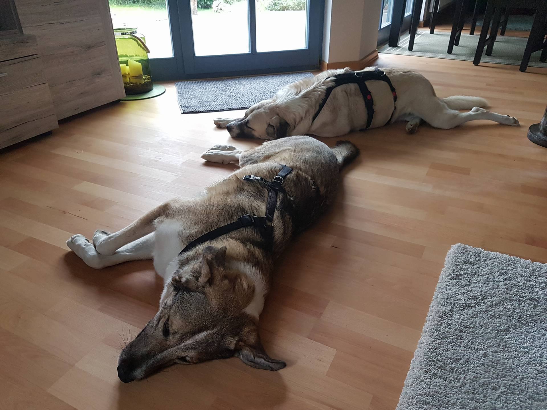 Mia und Bella