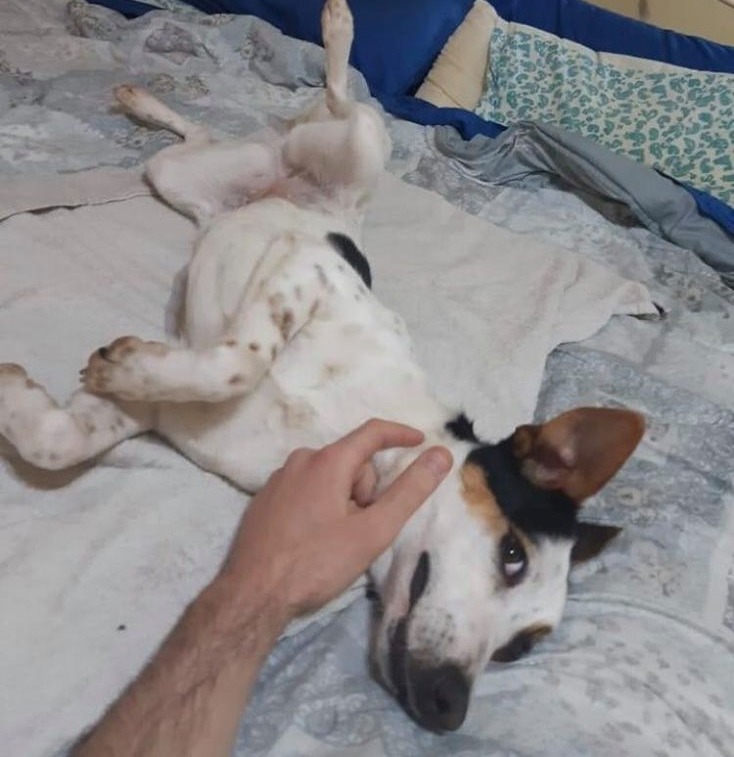 Tiffanie aber auch sie hat Glück