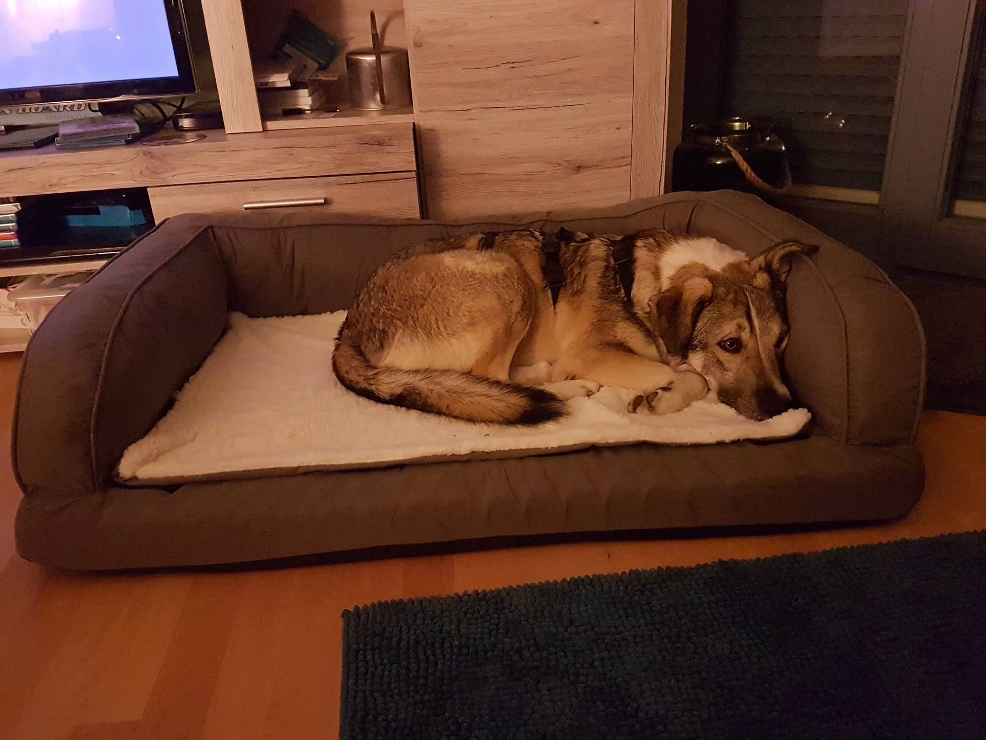Mia
