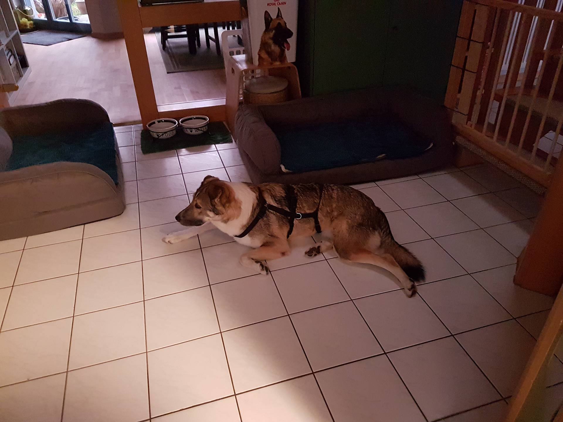 Mia