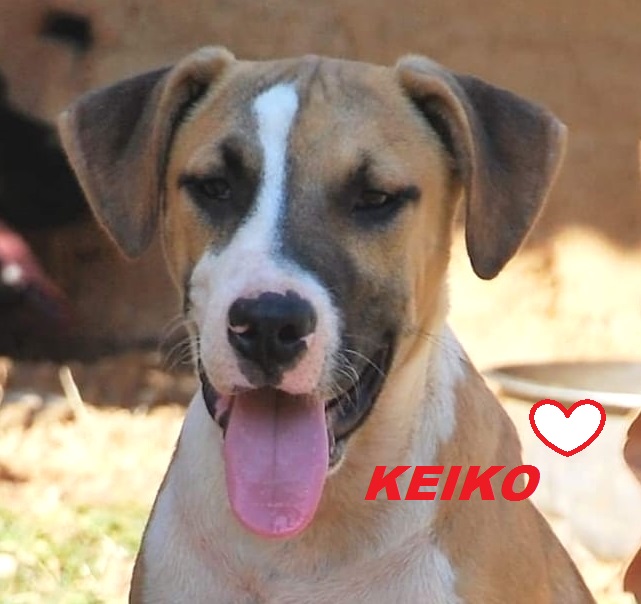KEIKO