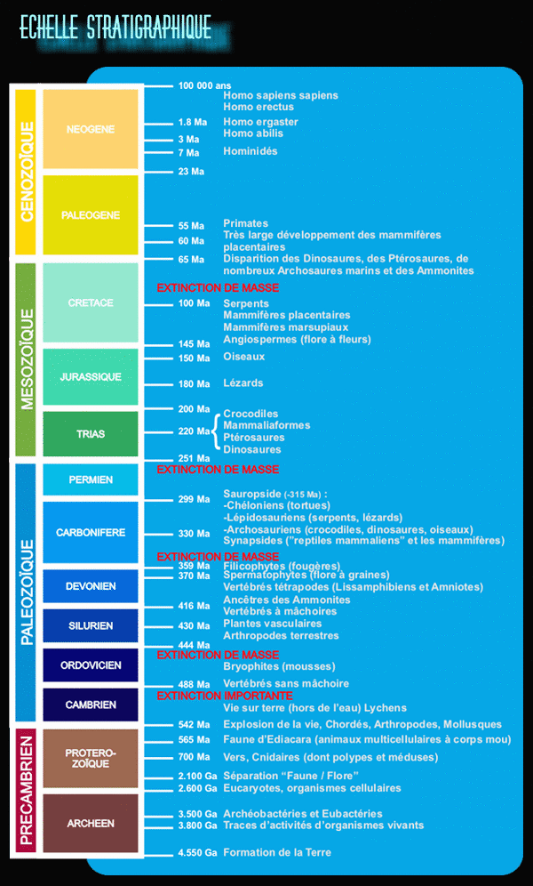 Echelle stratigraphique