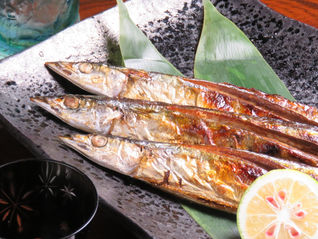 夏？？秋？？？