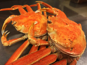 忘年会シーズン突入!