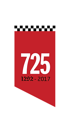 Afbeeldingsresultaat voor 725 puurs