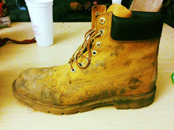 Timberland : Classic