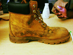 Timberland : Classic