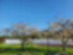 20210422_174341.jpg