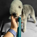 PhotoRoom_20231113_161831.JPG