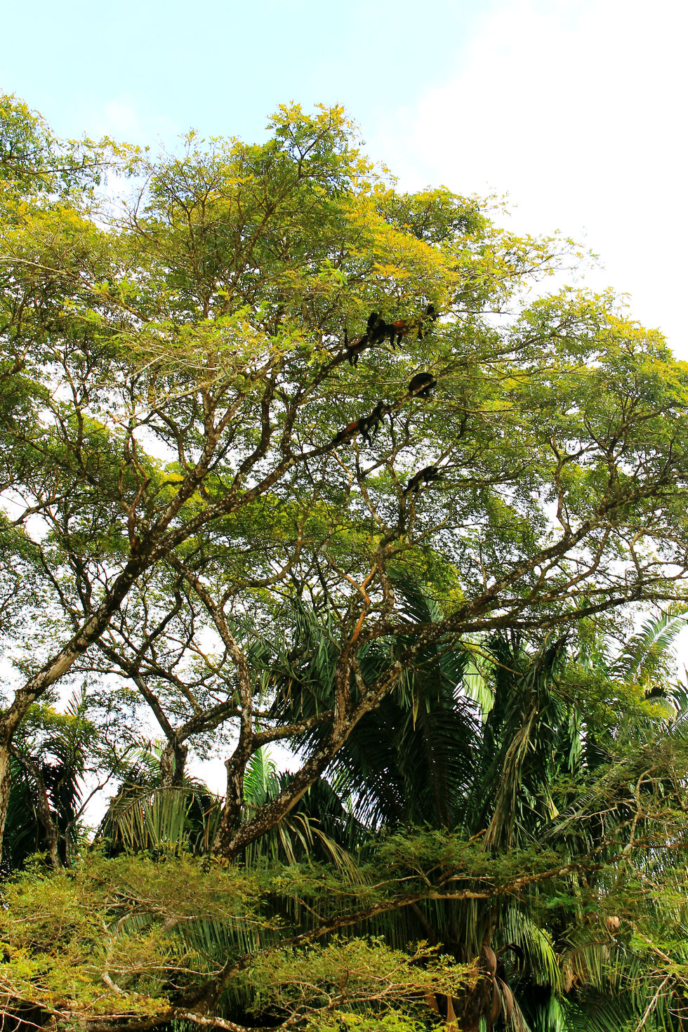 Costa Rica