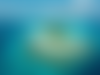 Maximaliseer Jouw Stage-ervaring op Bonaire met Deze 10 Onmisbare Tips