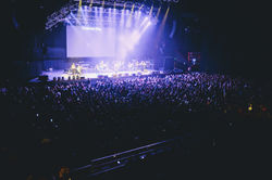 Leo Vartanian Luna Park
