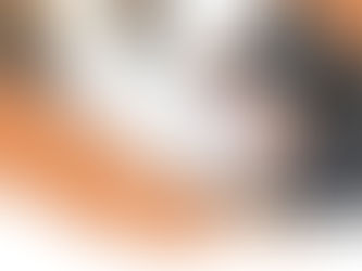 2019년 OO군 민원행정 고객만족도 조사 용역