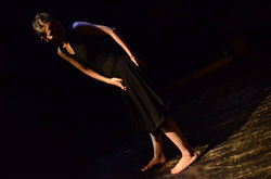 Sheep creeps the roop