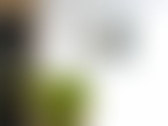 ✨AESTE WEEK 1 (17-23 JAN 2022)✨