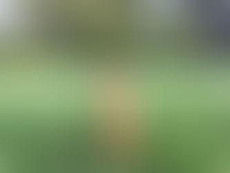 The New Zealand's Young Enterprise (YES)