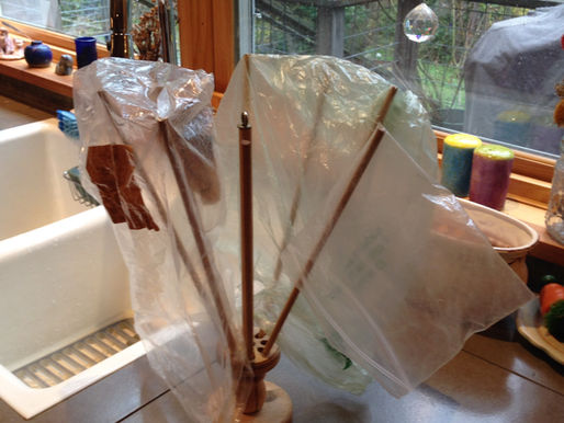 Scott & Ande's MEDITATIONS ON PLASTIC