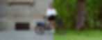 Brompton Cityforest e-bike