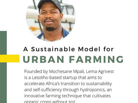 A Sustainable Model for Urban Farming