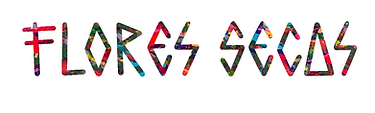 11_flores_secas.png