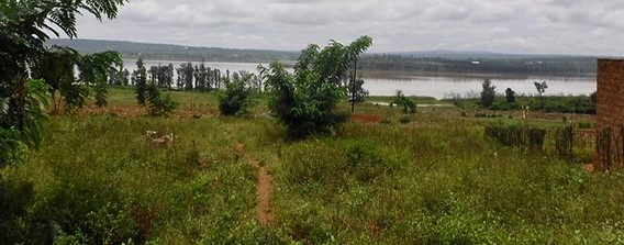 image4.jpeg